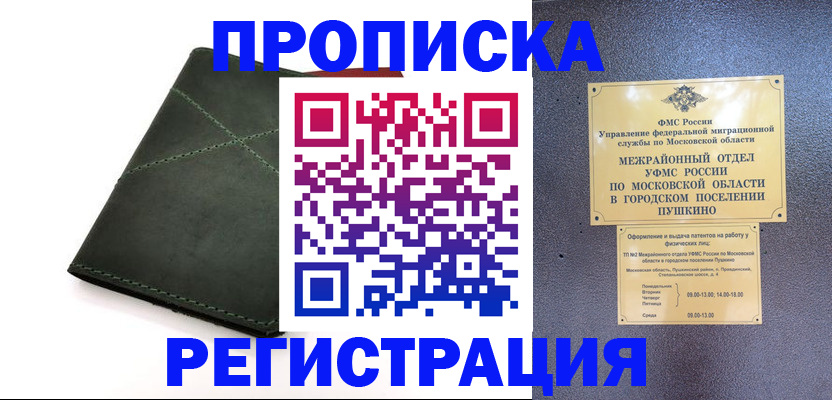 прописка в квартире в Елизово
